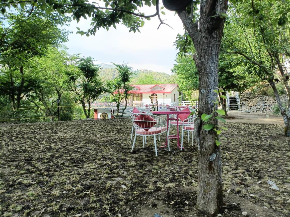 Aaroham Resort, شيملا المظهر الخارجي الصورة