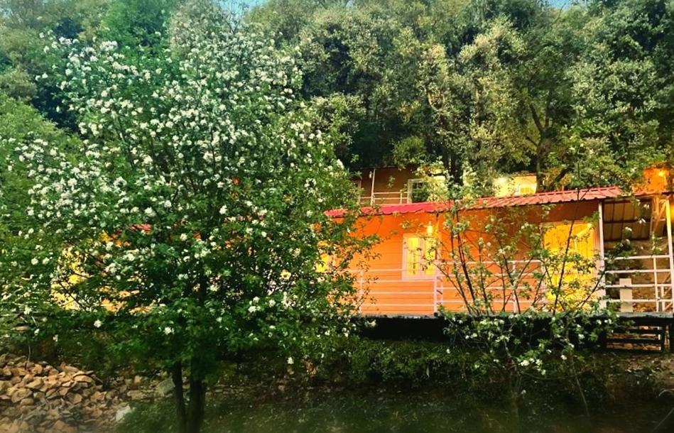 Aaroham Resort, شيملا المظهر الخارجي الصورة