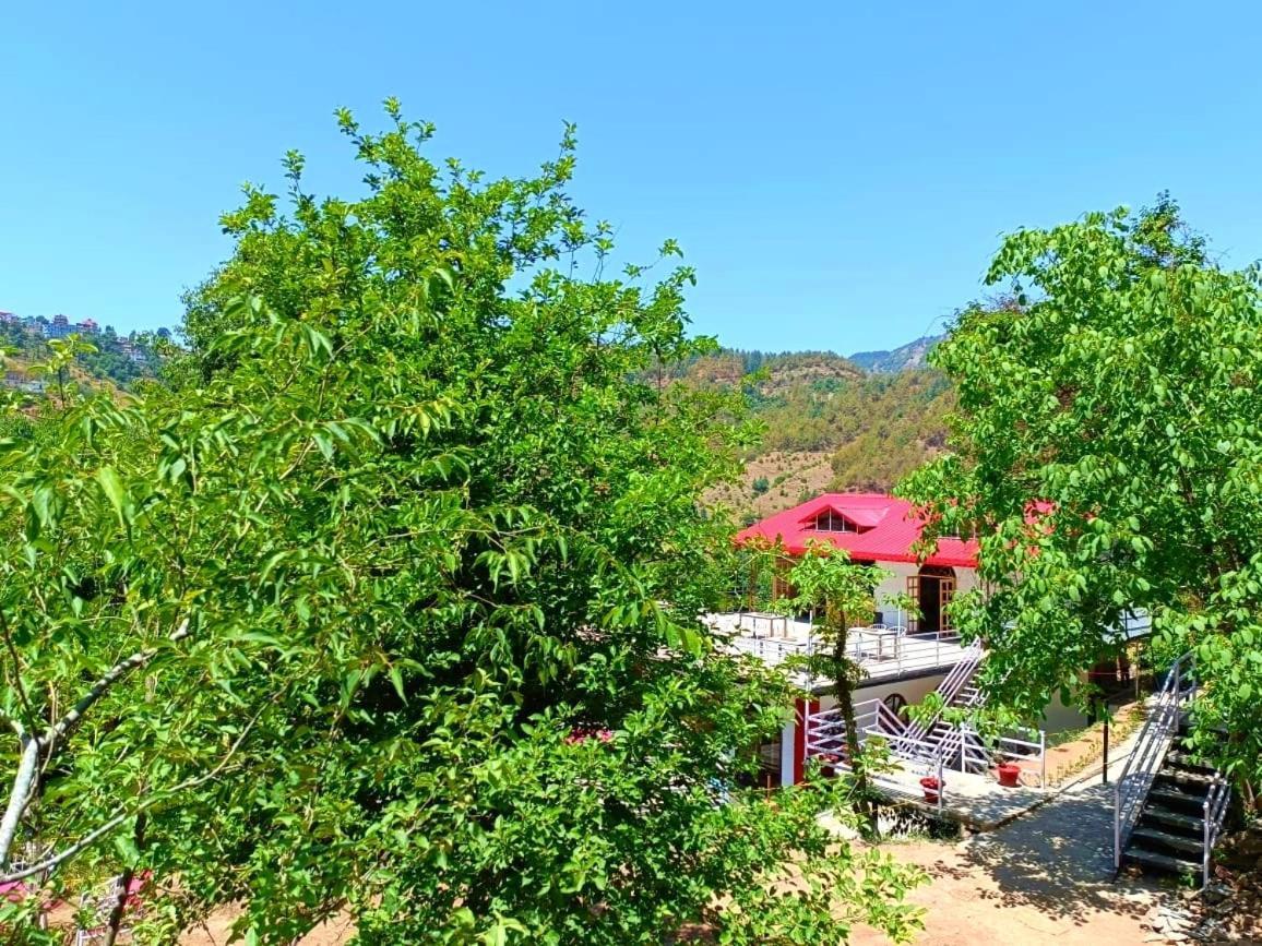 Aaroham Resort, شيملا المظهر الخارجي الصورة